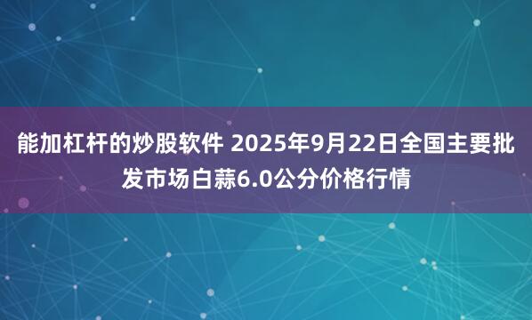 能加杠杆的炒股软件 2025年9月22日全国主要批发市场白蒜6.0公分价格行情